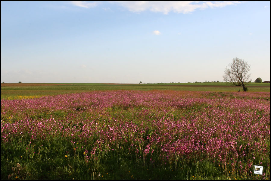  1 Mai 18