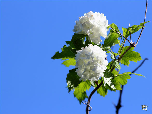 20 Mai 12